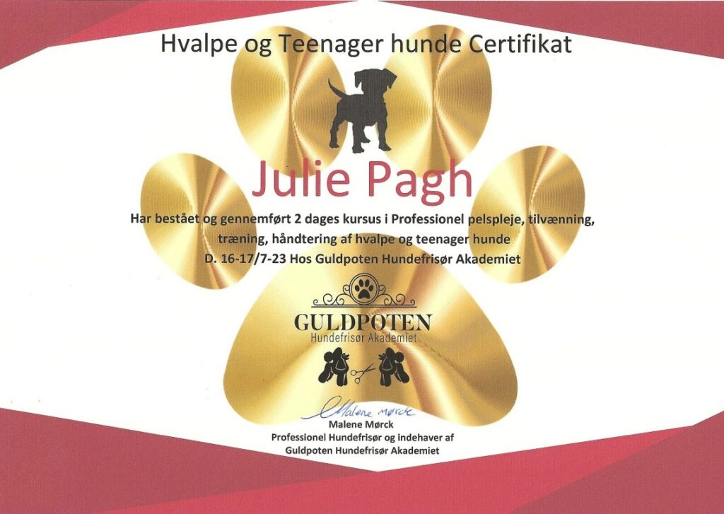 Hvalpe og Teenager Hunde Certifikat - Juelshundeklip