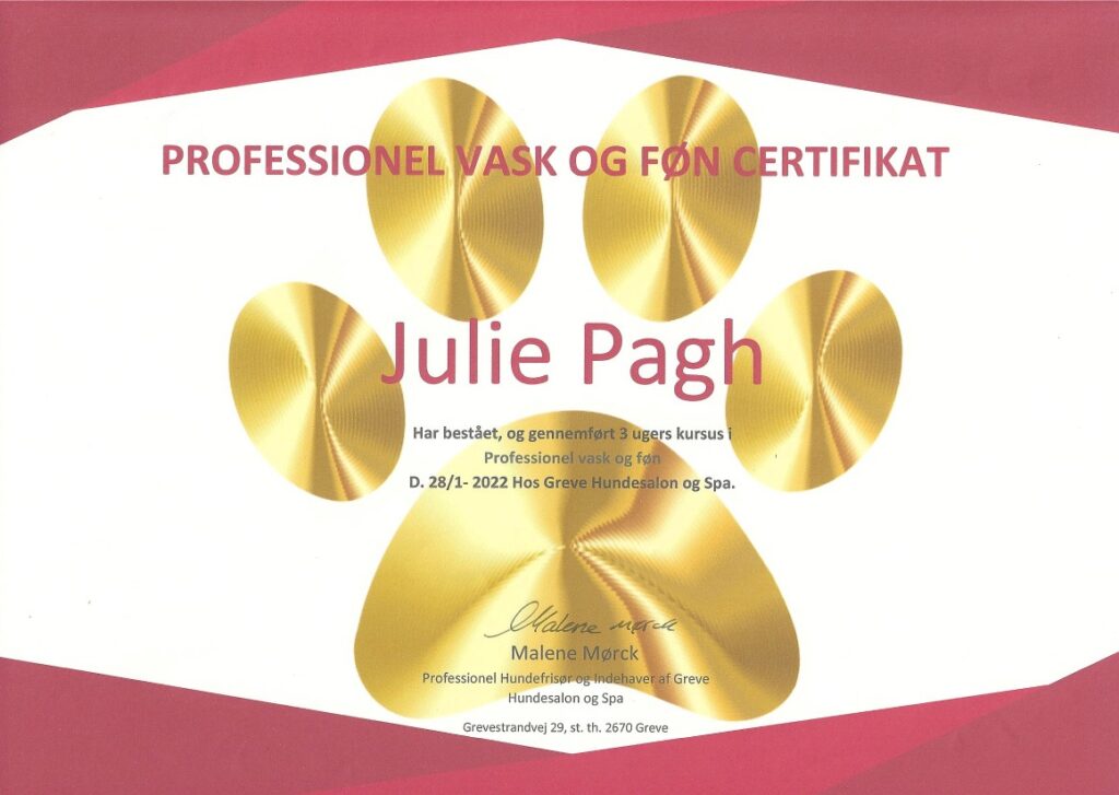 Professionel Vask og Føn Certifikat - Julieshundeklip