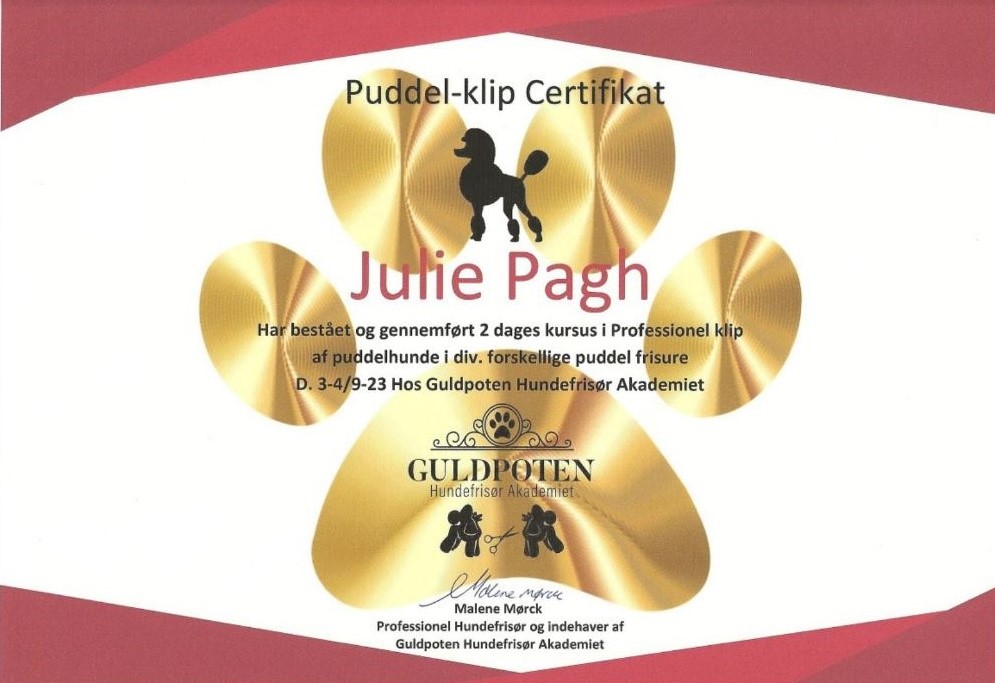 Professionel Puddel-klip Certifiat - Julieshundeklip